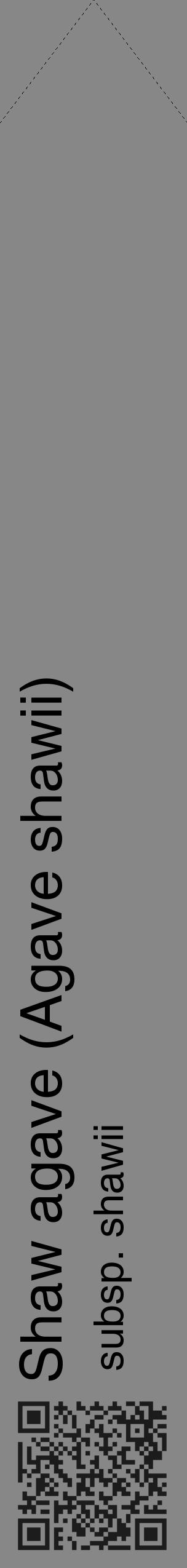 Étiquette de : Agave shawii subsp. shawii - format c - style noire12_simple_simplehel avec qrcode et comestibilité - position verticale