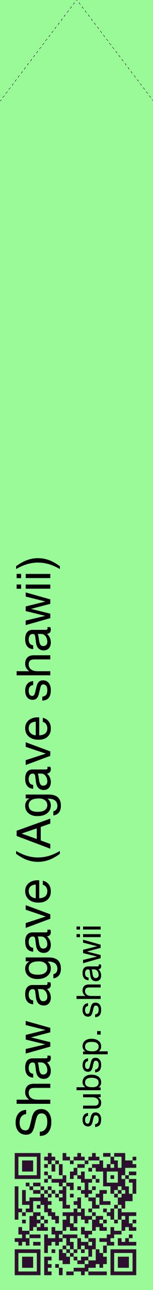 Étiquette de : Agave shawii subsp. shawii - format c - style noire14_simplehel avec qrcode et comestibilité