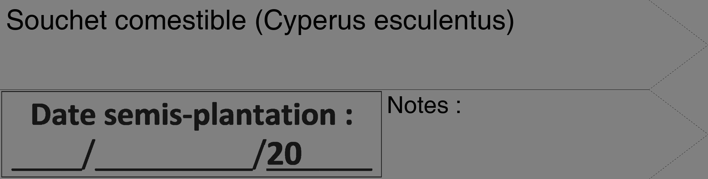 Étiquette de : Cyperus esculentus - format c - style noire57_simple_simplehel avec comestibilité