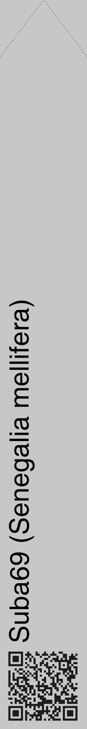 Étiquette de : Senegalia mellifera - format c - style noire15_simple_simplehel avec qrcode et comestibilité - position verticale