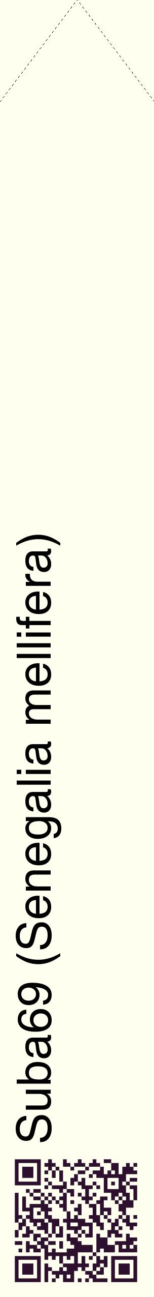 Étiquette de : Senegalia mellifera - format c - style noire19_simplehel avec qrcode et comestibilité