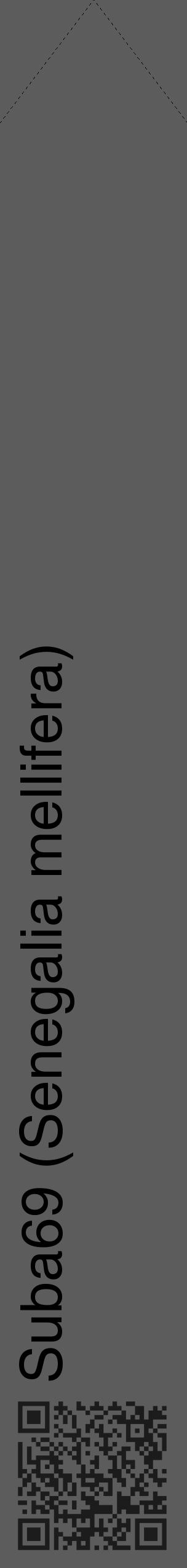Étiquette de : Senegalia mellifera - format c - style noire49_simple_simplehel avec qrcode et comestibilité - position verticale