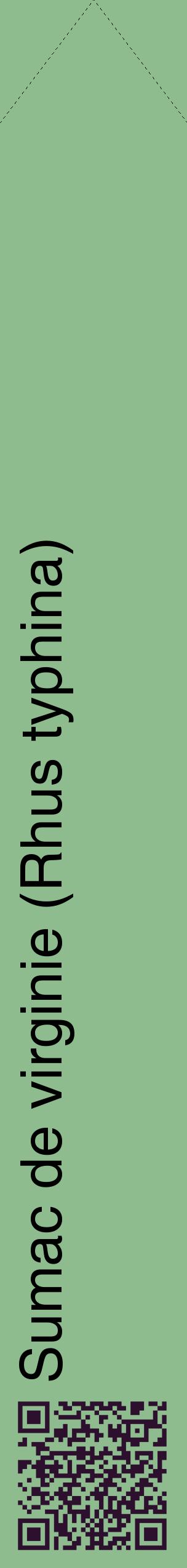 Étiquette de : Rhus typhina - format c - style noire13_simplehel avec qrcode et comestibilité