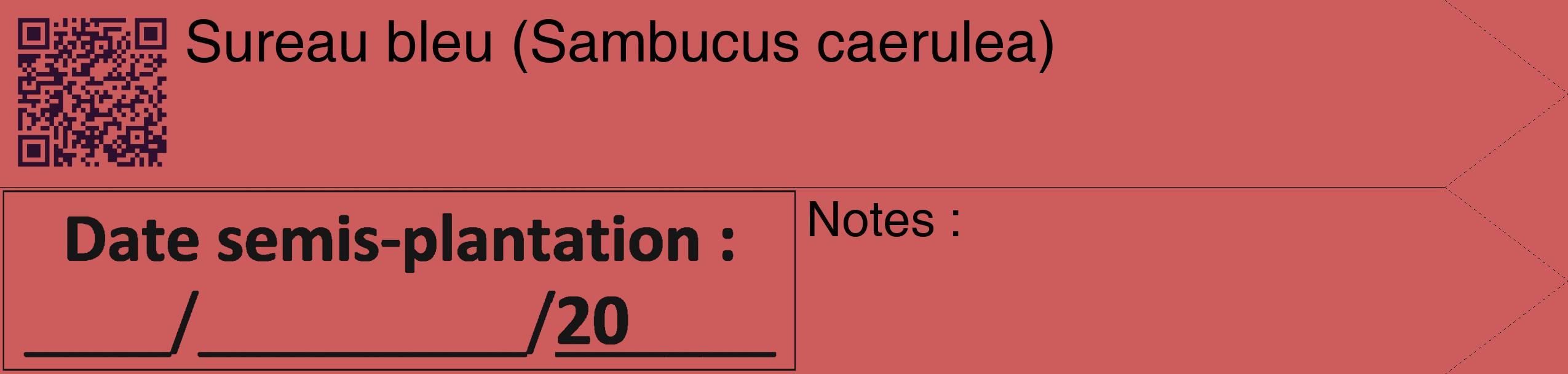 Étiquette de : Sambucus caerulea - format c - style noire35_simple_simplehel avec qrcode et comestibilité