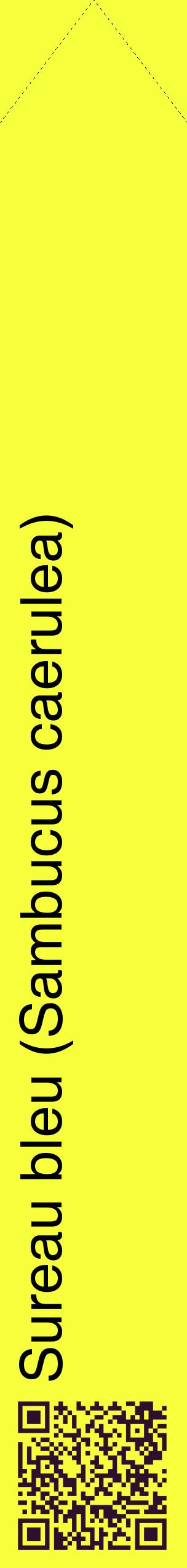 Étiquette de : Sambucus caerulea - format c - style noire18_simplehel avec qrcode et comestibilité