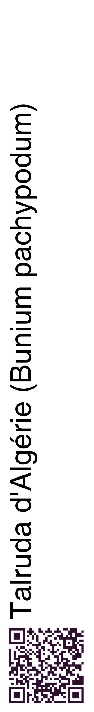 Étiquette de : Bunium pachypodum - format c - style noire60_basiquehel avec qrcode et comestibilité