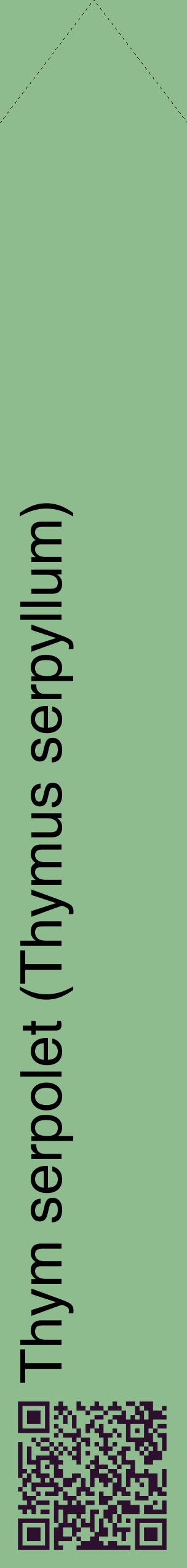 Étiquette de : Thymus serpyllum - format c - style noire13_simplehel avec qrcode et comestibilité
