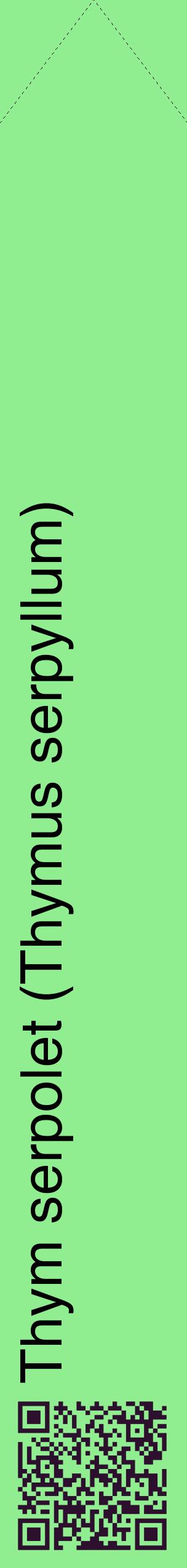 Étiquette de : Thymus serpyllum - format c - style noire15_simplehel avec qrcode et comestibilité