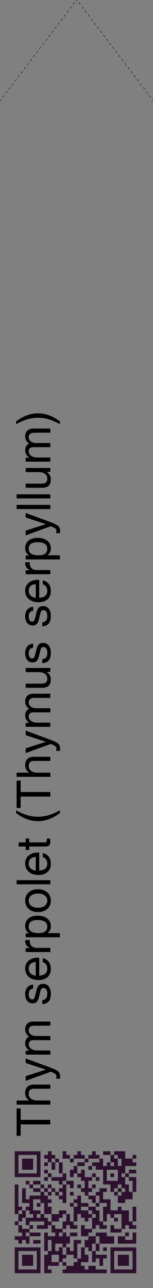 Étiquette de : Thymus serpyllum - format c - style noire57_simplehel avec qrcode et comestibilité