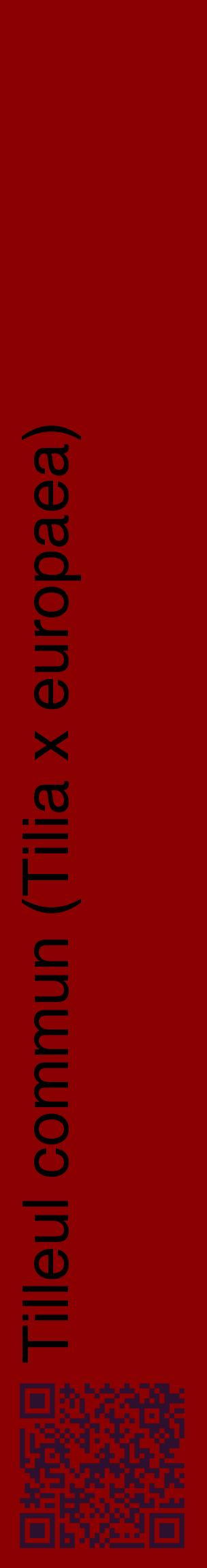 Étiquette de : Tilia x europaea - format c - style noire34_basiquehel avec qrcode et comestibilité