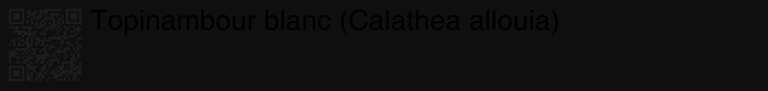 Étiquette de : Calathea allouia - format c - style noire7_simple_simplehel avec qrcode et comestibilité