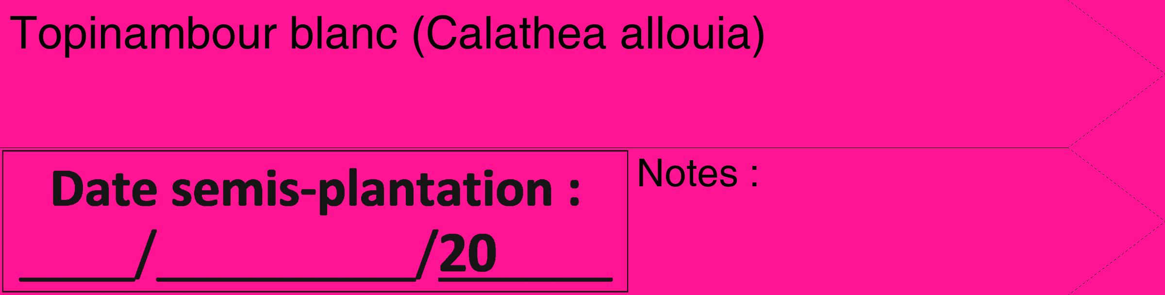 Étiquette de : Calathea allouia - format c - style noire43_simple_simplehel avec comestibilité