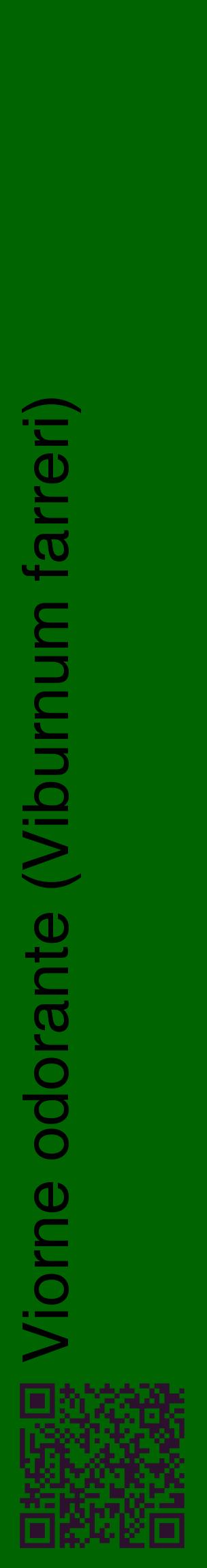 Étiquette de : Viburnum farreri - format c - style noire8_basiquehel avec qrcode et comestibilité