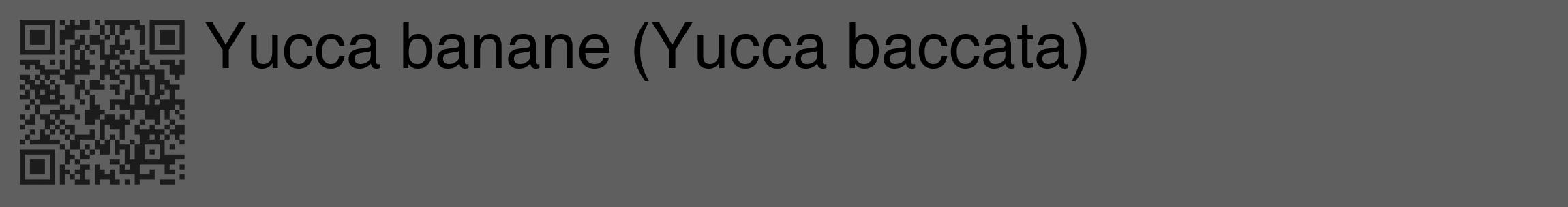 Étiquette de : Yucca baccata - format c - style noire10_basique_basiquehel avec qrcode et comestibilité