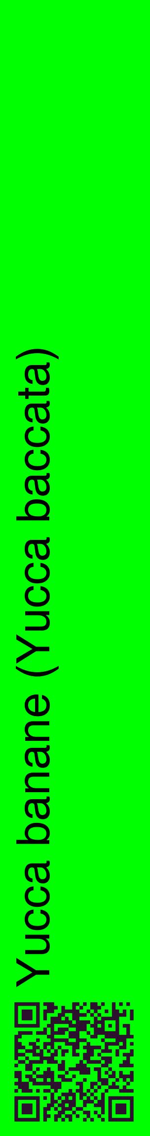 Étiquette de : Yucca baccata - format c - style noire16_basiquehel avec qrcode et comestibilité