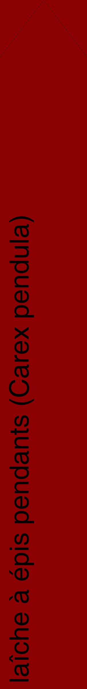 Étiquette de : Carex pendula - format c - style noire34_simplehel avec comestibilité