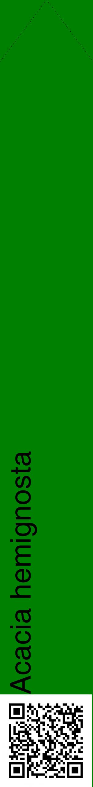 Étiquette de : Acacia hemignosta - format c - style noire9_simplehel avec qrcode et comestibilité