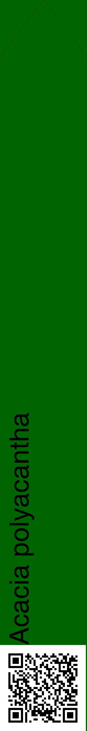 Étiquette de : Acacia polyacantha - format c - style noire8_simplehel avec qrcode et comestibilité