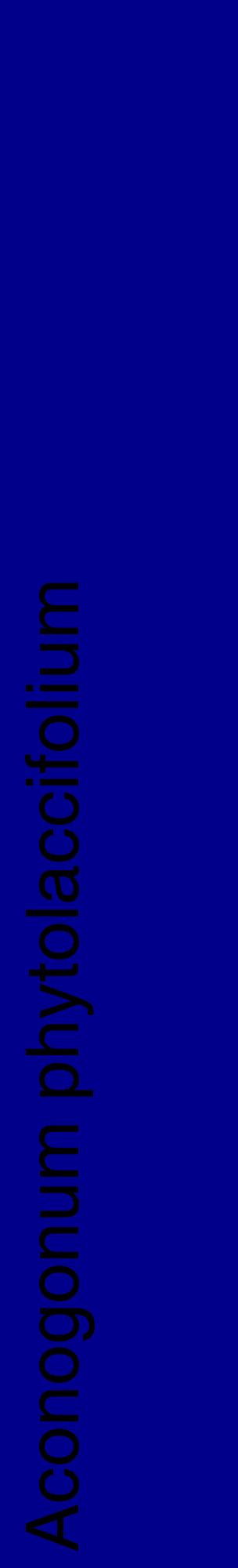 Étiquette de : Aconogonum phytolaccifolium - format c - style noire7_basiquehel avec comestibilité