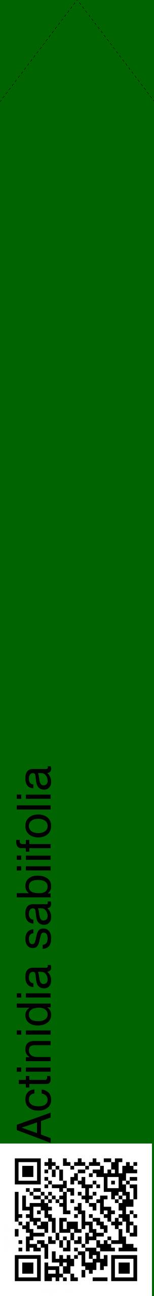 Étiquette de : Actinidia sabiifolia - format c - style noire8_simplehel avec qrcode et comestibilité