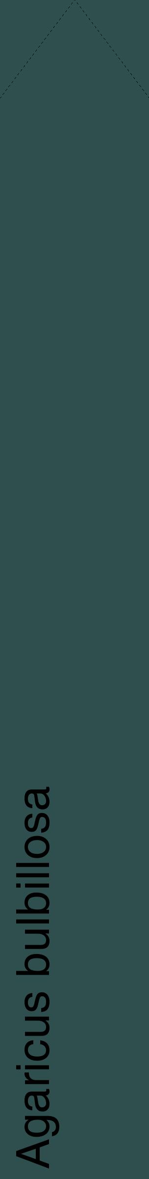Étiquette de : Agaricus bulbillosa - format c - style noire58_simplehel avec comestibilité