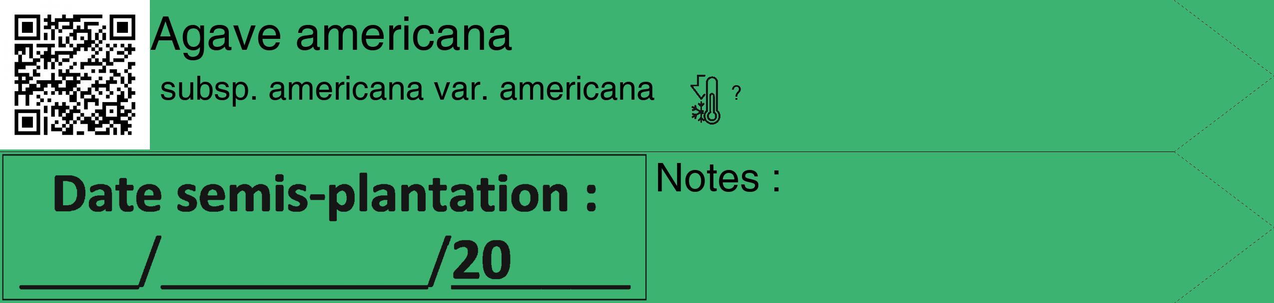 Étiquette de : Agave americana subsp. americana var. americana - format c - style noire12_simple_simplehel avec qrcode et comestibilité
