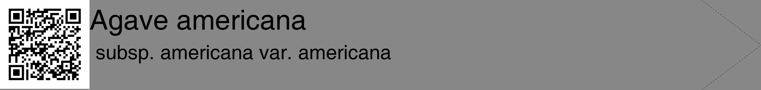 Étiquette de : Agave americana subsp. americana var. americana - format c - style noire12_simple_simplehel avec qrcode et comestibilité
