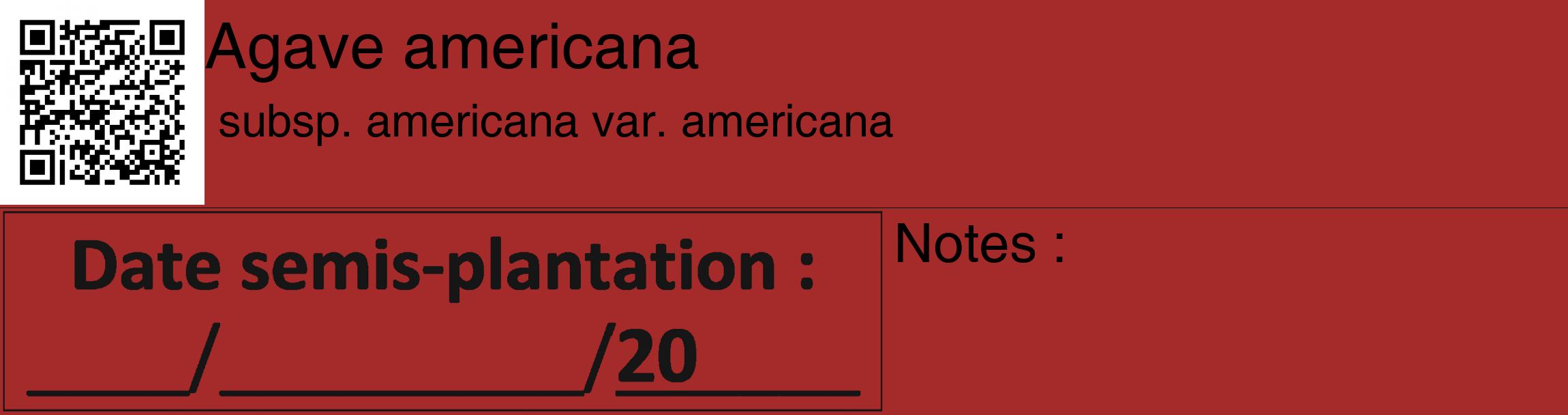 Étiquette de : Agave americana subsp. americana var. americana - format c - style noire33_basique_basiquehel avec qrcode et comestibilité