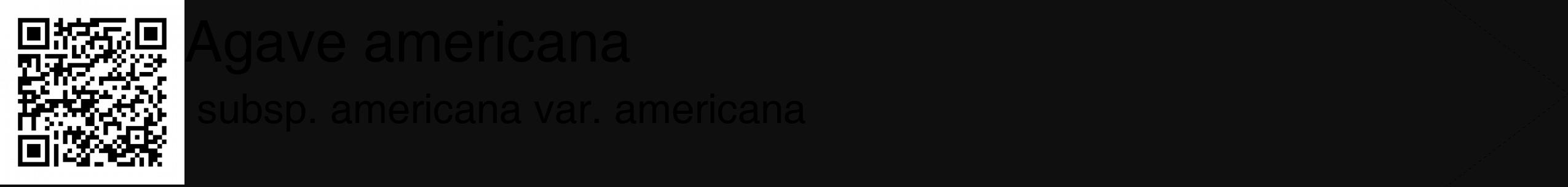 Étiquette de : Agave americana subsp. americana var. americana - format c - style noire7_simple_simplehel avec qrcode et comestibilité