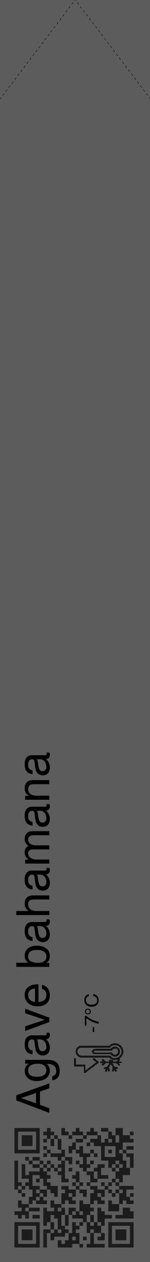 Étiquette de : Agave bahamana - format c - style noire49_simple_simplehel avec qrcode et comestibilité - position verticale