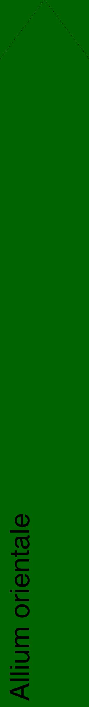 Étiquette de : Allium orientale - format c - style noire8_simplehel avec comestibilité