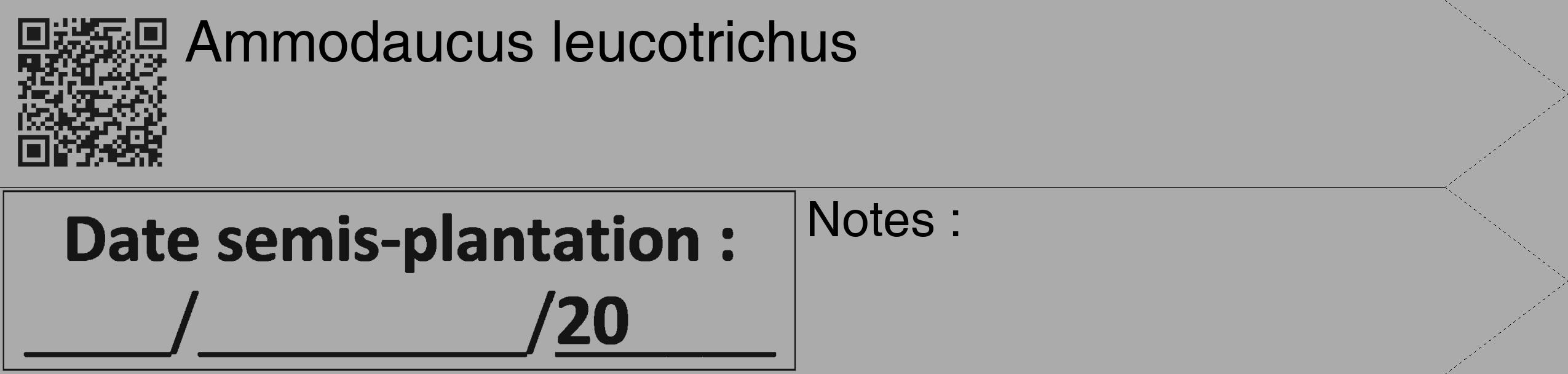 Étiquette de : Ammodaucus leucotrichus - format c - style noire37_simple_simplehel avec qrcode et comestibilité