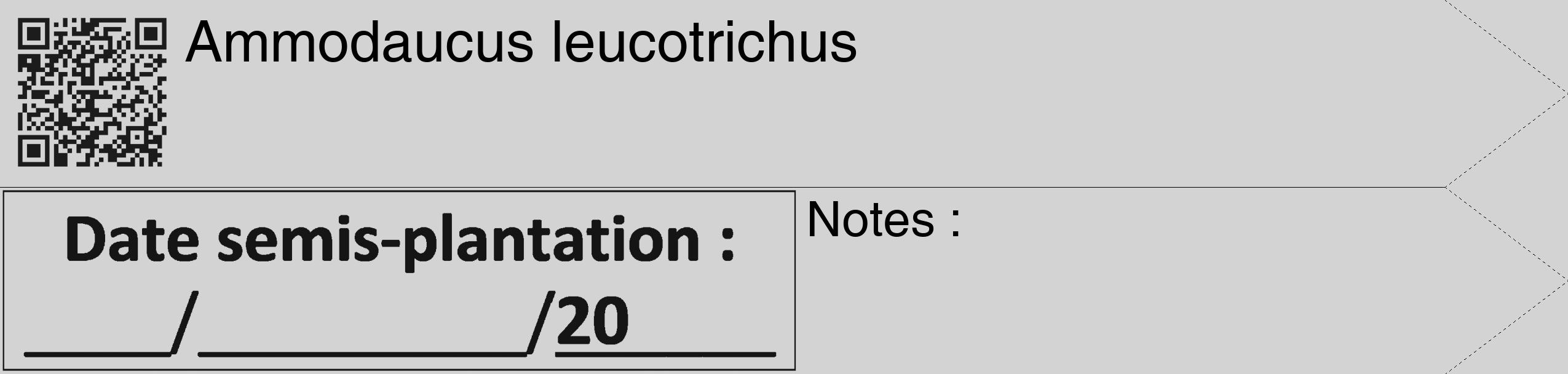 Étiquette de : Ammodaucus leucotrichus - format c - style noire56_simple_simplehel avec qrcode et comestibilité