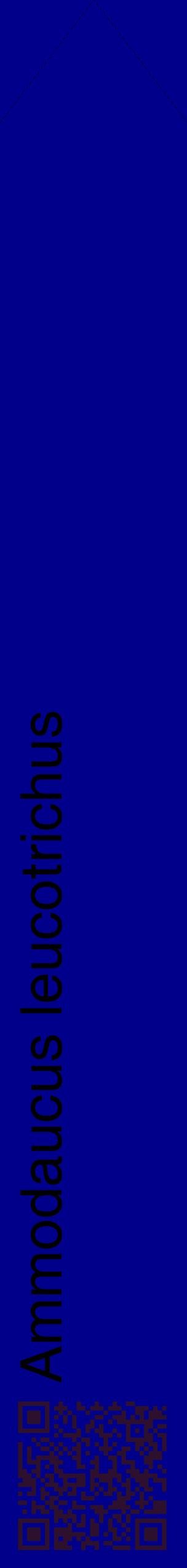 Étiquette de : Ammodaucus leucotrichus - format c - style noire7_simplehel avec qrcode et comestibilité