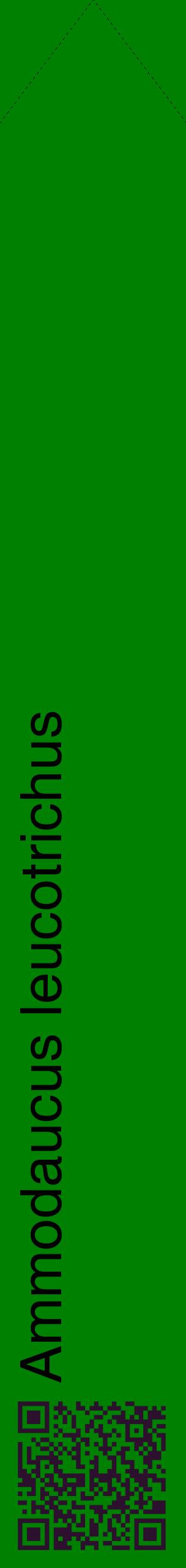 Étiquette de : Ammodaucus leucotrichus - format c - style noire9_simplehel avec qrcode et comestibilité