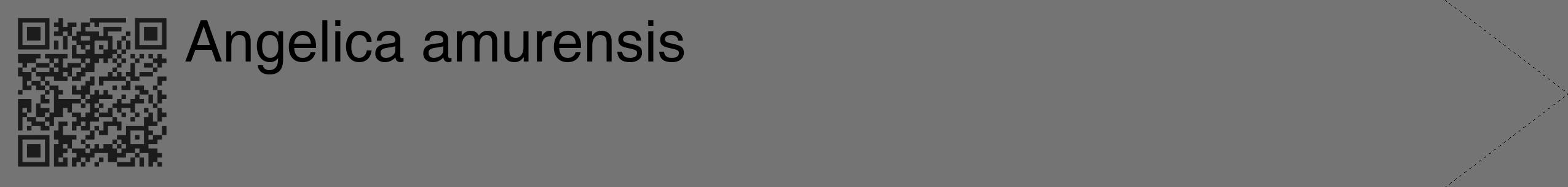 Étiquette de : Angelica amurensis - format c - style noire26_simple_simplehel avec qrcode et comestibilité