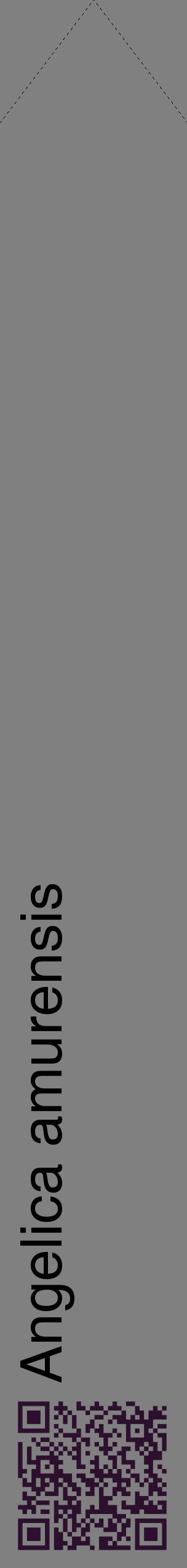 Étiquette de : Angelica amurensis - format c - style noire57_simplehel avec qrcode et comestibilité