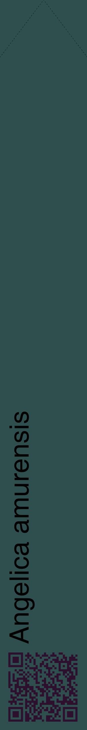 Étiquette de : Angelica amurensis - format c - style noire58_simplehel avec qrcode et comestibilité
