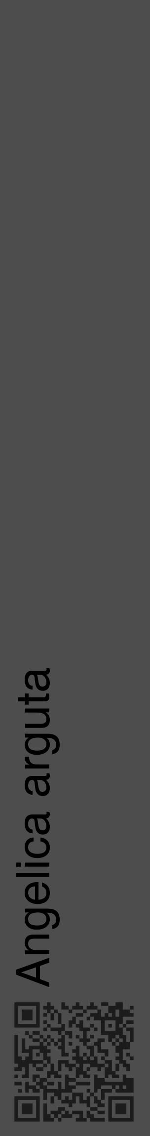 Étiquette de : Angelica arguta - format c - style noire28_basique_basiquehel avec qrcode et comestibilité - position verticale