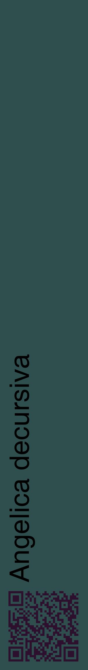 Étiquette de : Angelica decursiva - format c - style noire58_basiquehel avec qrcode et comestibilité