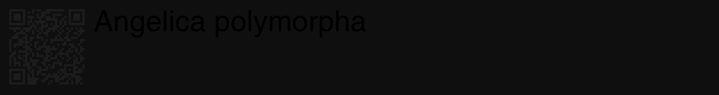 Étiquette de : Angelica polymorpha - format c - style noire7_basique_basiquehel avec qrcode et comestibilité