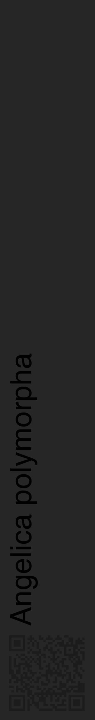 Étiquette de : Angelica polymorpha - format c - style noire29_basique_basiquehel avec qrcode et comestibilité - position verticale