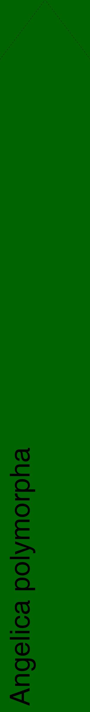 Étiquette de : Angelica polymorpha - format c - style noire8_simplehel avec comestibilité