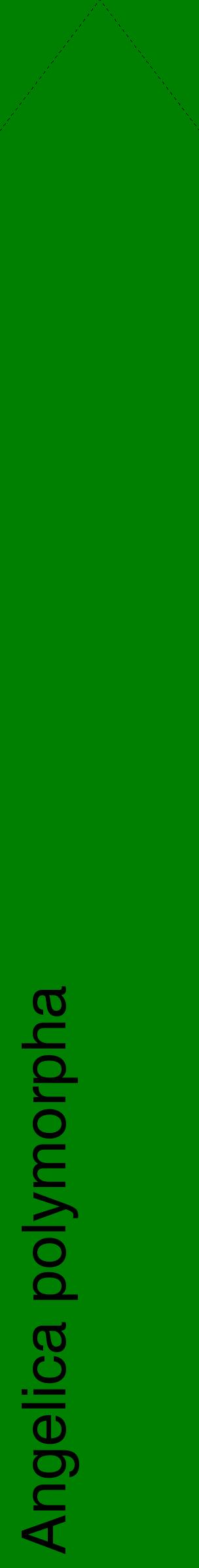 Étiquette de : Angelica polymorpha - format c - style noire9_simplehel avec comestibilité