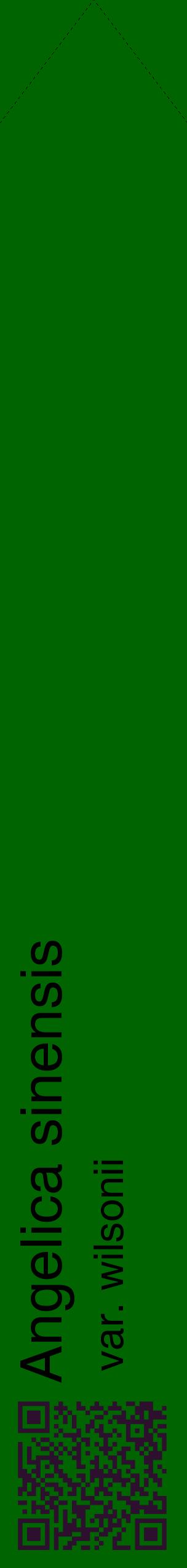 Étiquette de : Angelica sinensis var. wilsonii - format c - style noire8_simplehel avec qrcode et comestibilité