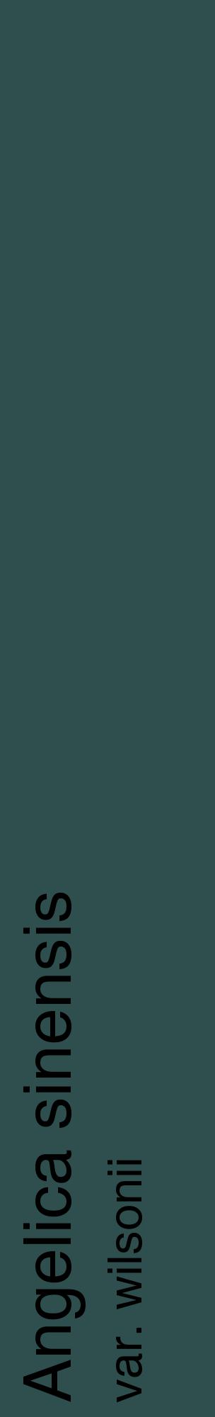Étiquette de : Angelica sinensis var. wilsonii - format c - style noire58_basiquehel avec comestibilité