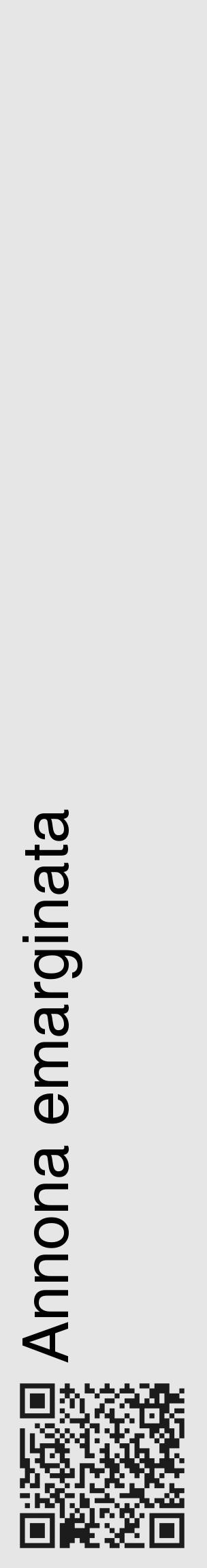 Étiquette de : Annona emarginata - format c - style noire18_basique_basiquehel avec qrcode et comestibilité - position verticale