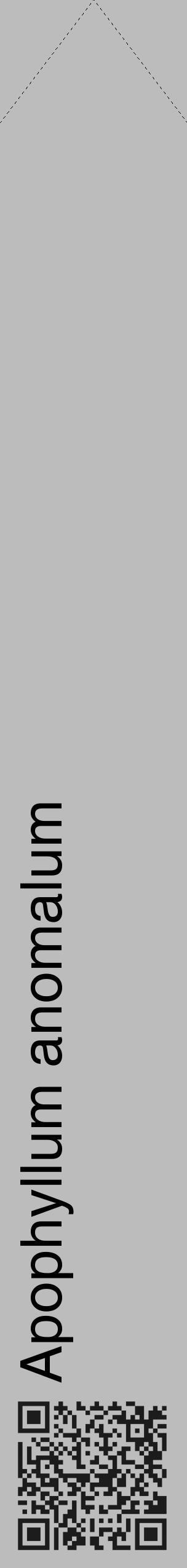 Étiquette de : Apophyllum anomalum - format c - style noire1_simple_simplehel avec qrcode et comestibilité - position verticale