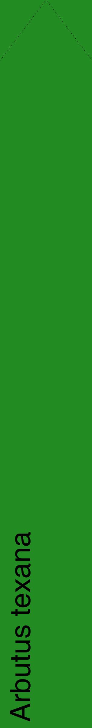 Étiquette de : Arbutus texana - format c - style noire10_simplehel avec comestibilité