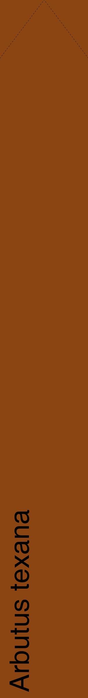 Étiquette de : Arbutus texana - format c - style noire30_simplehel avec comestibilité